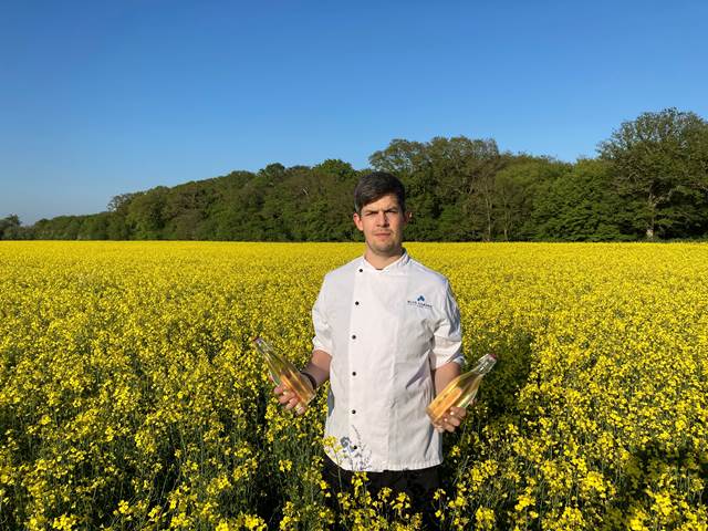 Henry in an oilseed rape field