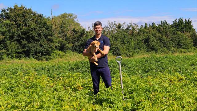 Our chef Henry in a local potato field